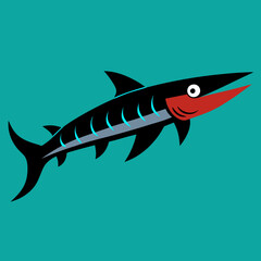 vector illustration of barracuda
