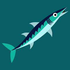 barracuda vector art