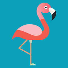 pink flamingo vector illustration