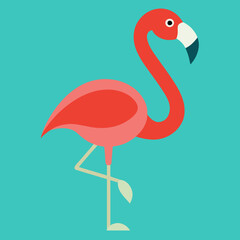 flamingo vector illustration