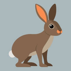 vector illustration of a hare