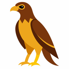 Fototapeta premium hawk on a white background