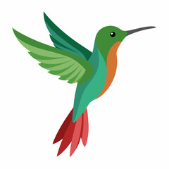 hummingbird vector art