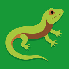 green lizard on white background