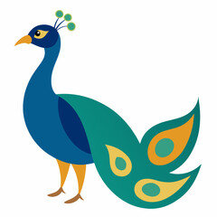 vector illustration of a peacock