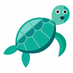 turtle on a white background
