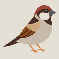 vector illustration of a sparrow
