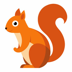 squirrel vector illustration