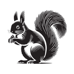 Majestic squirrel silhouette for design applications - Squirrel black vector
