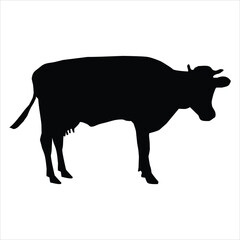 silhouette of a cow