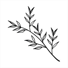 Sprig of greenery watercolor element on white background