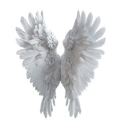 Obraz premium Angelic white wings isolated on transparent background heavenly feathers soft light 3D render design element