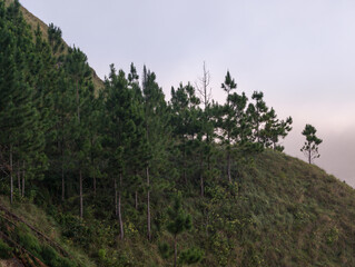 Cerro La India Dormida Panama