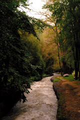 Obraz premium river in autumn