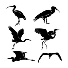 Heron Bird Silhouette Vector Set Collection