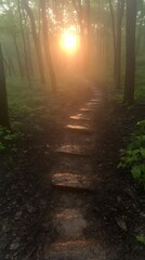 Fototapeta premium Sunlit Forest Path: A Serene Stone Walk at Dawn