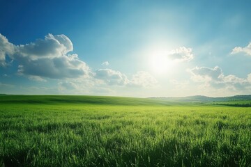 Obraz premium Vast green field under a bright sky with fluffy clouds and the sun shining in the afternoon. Generative AI