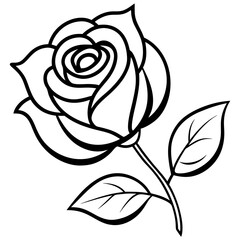 black and white rose