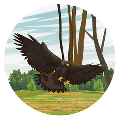 Round composition. Golden eagle flies over the meadow. Realistic vector landscape