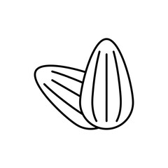 Almond icon in liner stroke style