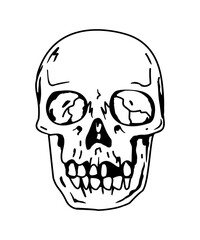 human skull illustration vector design, skull doodle drawing, 