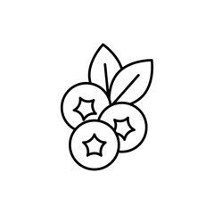 Blueberry icon in liner stroke style