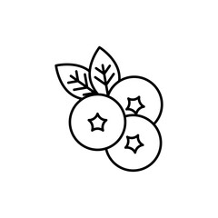Blueberry icon in liner stroke style