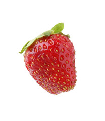 One whole ripe strawberry isolated on white