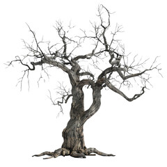 Fototapeta premium A gnarled dead tree stands alone its branches reaching skyward a spooky silhouette against a transparent background perfect for Halloween or gothic designs