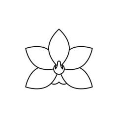 Moth orchid icon in liner stroke style
