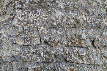 Obraz premium Rough Gray Stone Wall Texture