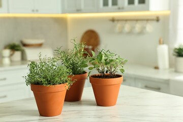 Different aromatic herbs in pots on white marble table in kitchen, space for text