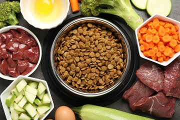 Dry pet food and natural products on grey table, top view