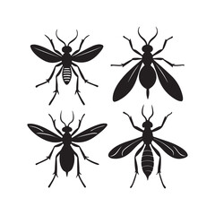 Set of Mosquito silhouette, black and white silhouette, vector and illustration