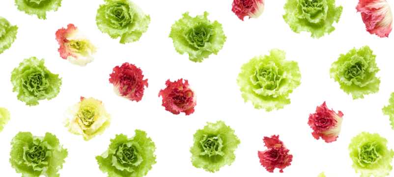  30 pieces of lettuce, in various shades of green and red, against a transparent background png - Powered by Adobe