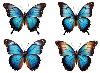 Elegant Real Butterfly Collection: Vibrant PNG Illustrations for Nature & Design Projects