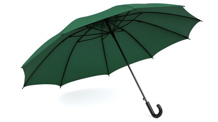 A dark green umbrella with a black handle is shown