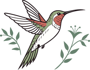 hummingbird and flower vector 