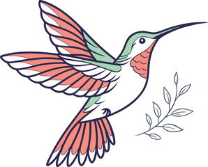 hummingbird and flower vector 