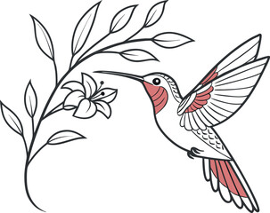 hummingbird and flower vector 