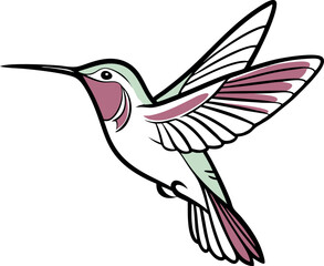 hummingbird and flower vector 
