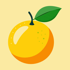 vector illustration of a yuzu