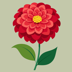 vector illustration of a zinnia