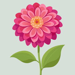 zinnia flower vector art