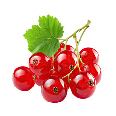 Fresh and Juicy Red Currants with Green Leaf Isolated on White Background Ready for Culinary Use and Decoration