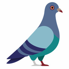 vector illustration of a rock pigeon