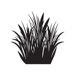 grass silhouette, black and white silhouette, vector and illustration