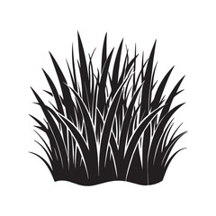 grass silhouette, black and white silhouette, vector and illustration