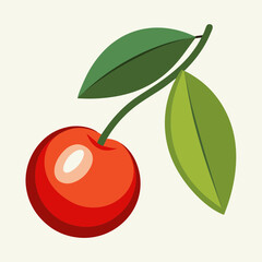 surinam cherry