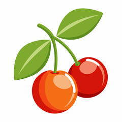 surinam cherry illustration